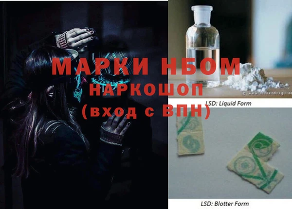 шишки Абаза