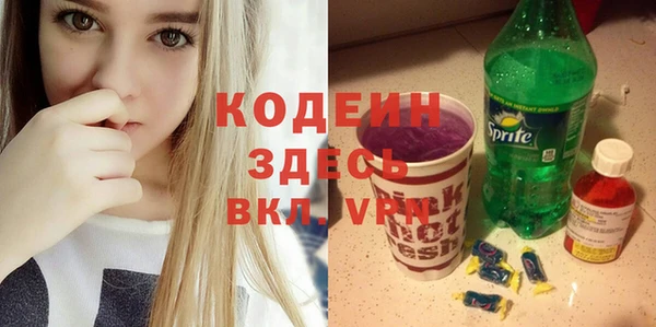 шишки Абаза