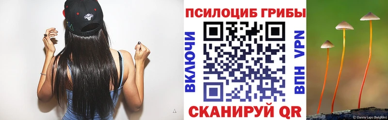 Галлюциногенные грибы Psilocybe  Ачхой-Мартан 